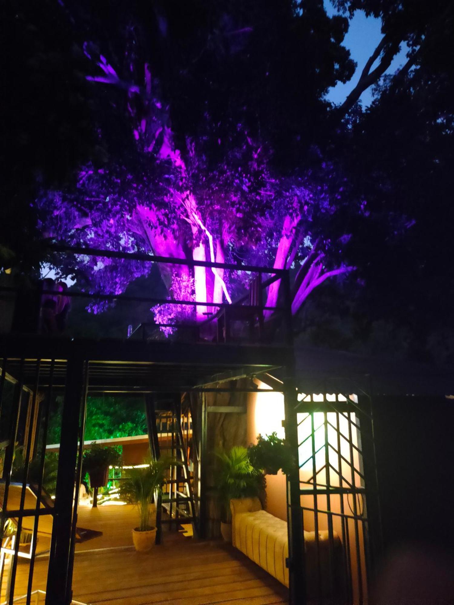 Phuket Jungle Experience Resort Karon Exterior photo