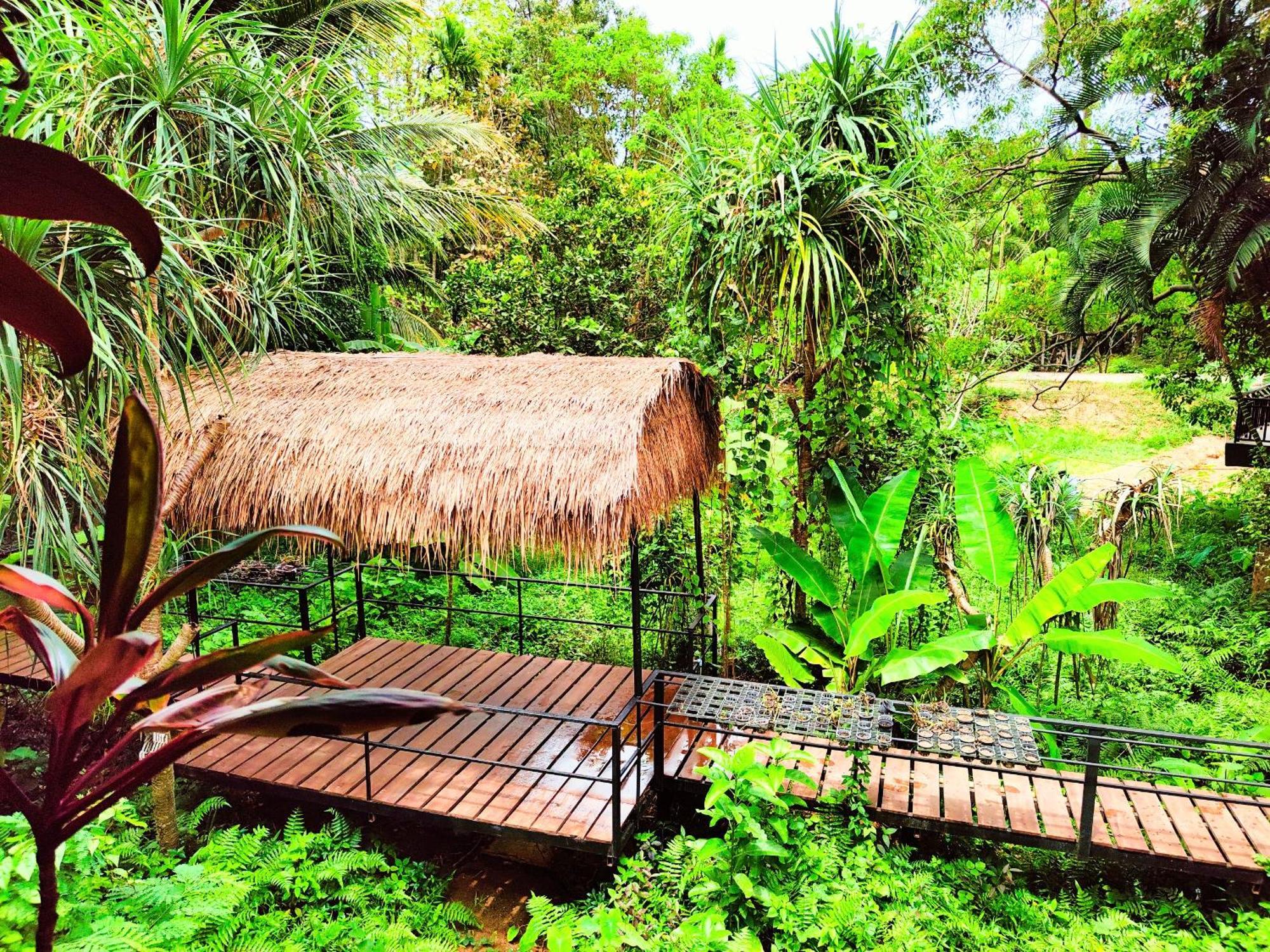 Phuket Jungle Experience Resort Karon Exterior photo